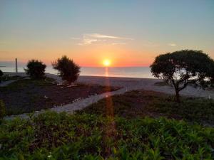 APARTAMENTO BAJO NATURISTA A PIE DE PLAYA.