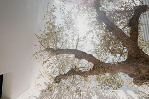 CUBIC Mykonos Seafront Design Suites