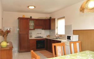 Awesome Apartment In Kneze With Kitchen