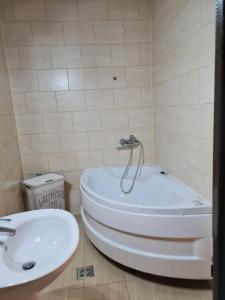 Apartament La Cetate