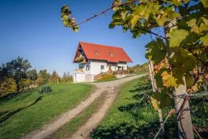 Ferienwohnung Perner - die Huabm - Sulz