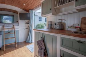 Willow - 1 Bedroom Shepherds Hut - Amroth