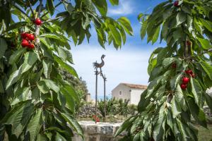 Gallicantu Stazzo Retreat img29