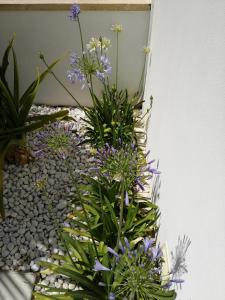 Residence Valentina int 4 - Rooftop Sea View Infinity Pool