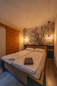 Designer apartment Stone Amareta - Jasenice