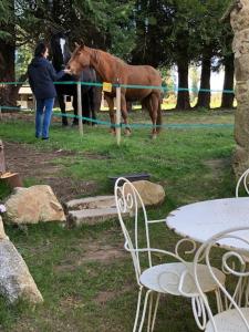 Maisons de vacances Le cheval d’en fer : photos des chambres