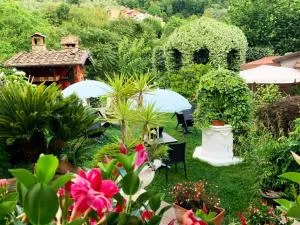 jasmine cottage - Luni