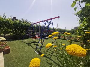 Large Apartment Duje