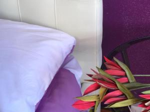 Le Ortensie in centro e vicino al mare