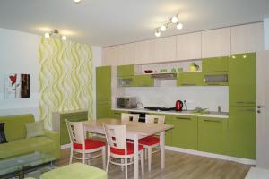 Superior Apartment with Balcony room in Apartments Klinovec