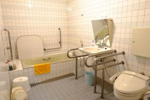 Lake Yamanakako Shuzansou