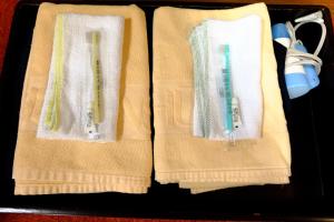 Lake Yamanakako Shuzansou