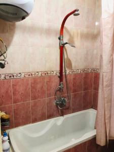 مدينه نصر امام ستي ستار