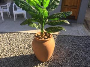 Ruros Guest House