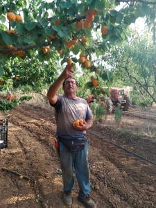 Agriturismo i doni del mandorlo img1