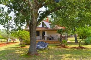 House Cocaletto 2174 - Spanidiga