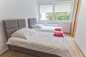 Apartament przy jeziorze nr 2