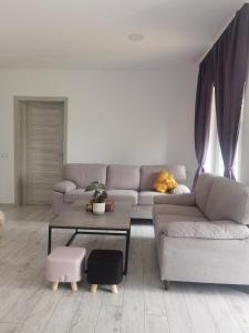 Freya House Valea Avrigului