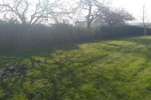 Maisons de vacances Grande Maison de plain pied avec jardin arbore. : photos des chambres