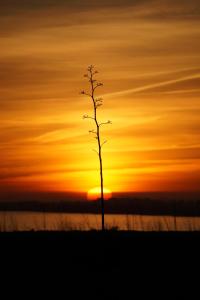Ático con terraza en el Toyo