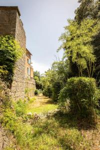 Appartements Le Cocon de la Source - votre sejour au frais en Provence Verte : photos des chambres