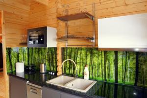 DOMEK Z SAUNĄ i JACUZZI NAD JEZIOREM BORY TUCHOLSKIE