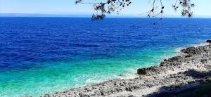 Summer House Bougainvillea by Dubrovnik Colors