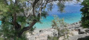 Summer House Bougainvillea by Dubrovnik Colors