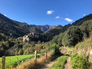 B&B / Chambres d'hotes Le Moulin de Bouzigue : photos des chambres