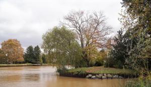 Villa Sophia del Delta (Cabañas en la Isla-Tigre)