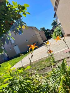 Zsuzsa Apartman Hajdúszoboszló