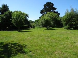 Maisons de vacances Cottage, Douarnenez : photos des chambres