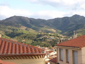BANYULS-SUR-MER, studio avec terrasse, proche plage - FR-1-309-323