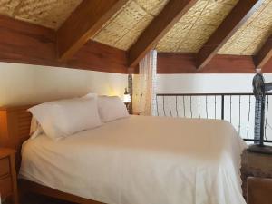 Dauin-unique home away from the hustle and bustle.