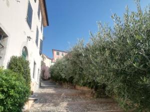 CAROSA an Italian experience in the old town