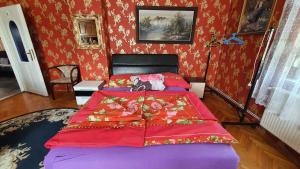 Apartments in Balatonfüred - Balaton 27839