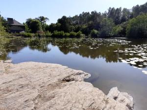 Villas MOULIN Menhirs & zone naturelle protegee : photos des chambres