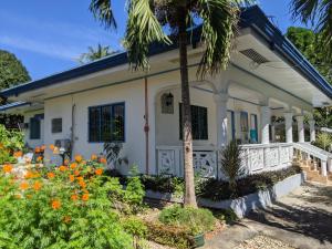 Crazy Bears Guesthouse