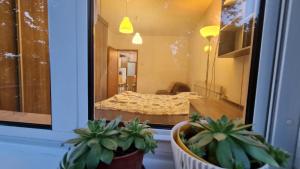 Center cosy apartment