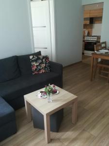 Apartament Parkowy 2 pokojowy