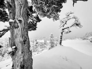 Tentes de luxe atipic lodge : photos des chambres
