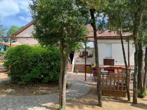 Edit Villa - Balatonszőlős