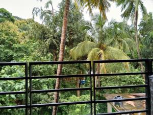 Our Nest - A cozy apartment near Palolem beach with power backup facility