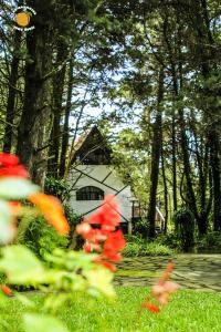 Los Naranjos Town Houses