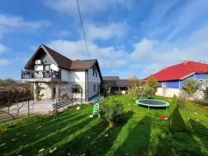 Casa Dor de Lac - Visterna