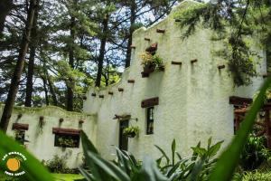 Los Naranjos Town Houses