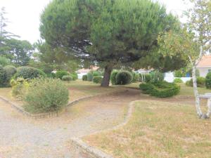 Appartements Appartement Bretignolles-sur-Mer, 2 pieces, 3 personnes - FR-1-224A-45 : photos des chambres