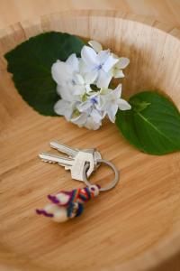 Nia Azorean Apartments