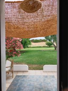 Podere Cala Viola img80