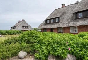 Heide Idyll - Braderup